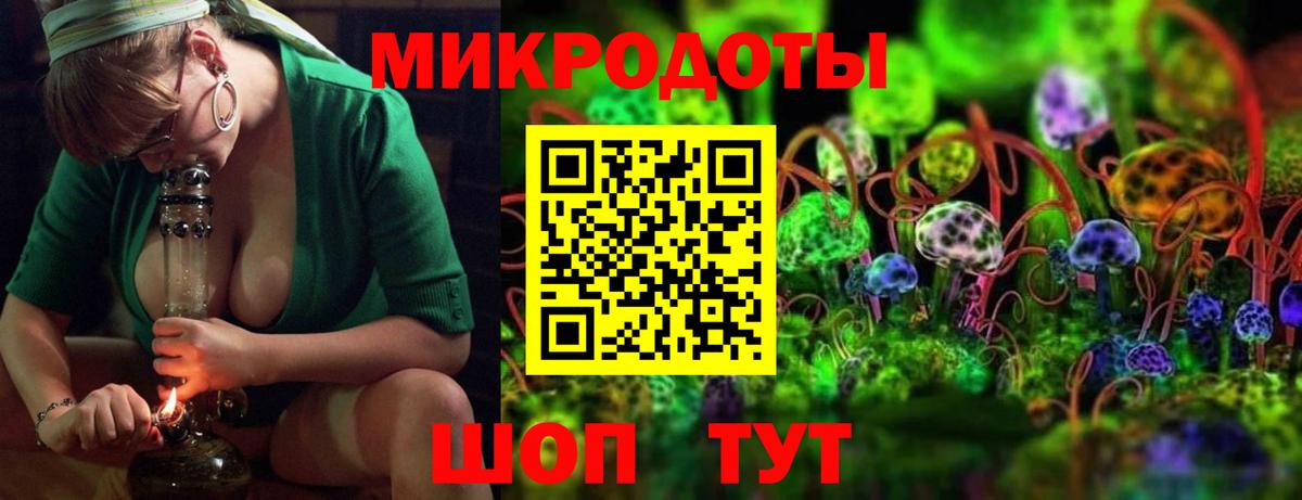 Владимир  Псилоцибиновые грибы Cubensis  Вход с VPN 